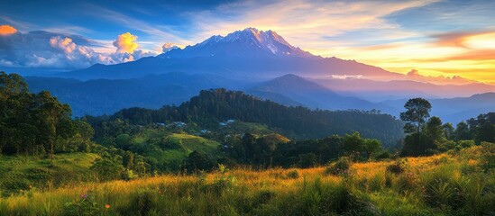 Mountain Peak View at Sunrise with Meadow Landscape