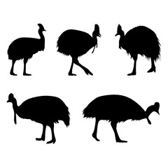 cassowary flightless bird silhouette
