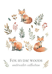 Fototapeta premium watercolor collection of foxes in the woods