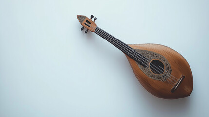 Medieval Lute Instrument – Authentic Music Artifact from Les Médiévales de Provins