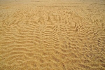 Obraz premium Golden sand ripples