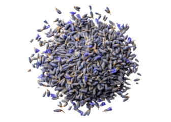 Pile of dried lavender buds isolated on transparent background, aromatherapy, spa, relaxation.