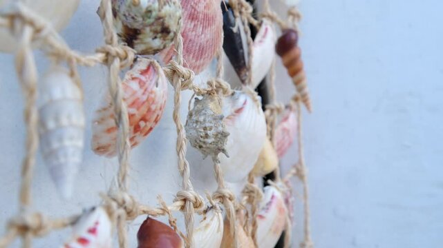 Greece Mykonos Extensive collection of antique specimens corals and shells.Decorative hanging made of seashells. Creative art against old wall. Concept of artistic showpiece.