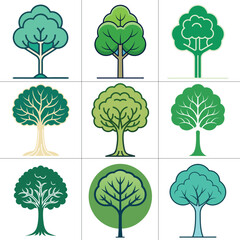 Fototapeta premium nature tree illustration