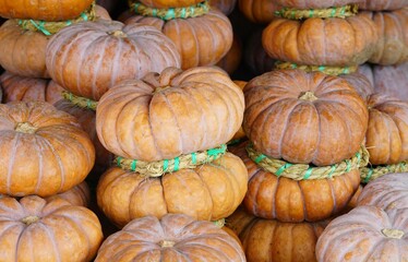 쌓여있는 늙은 호박