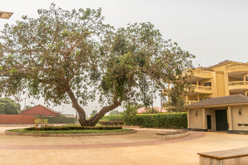 Slave Auction Market Memorial in Ouidah, Benin, a solemn site commemorating the history of the...