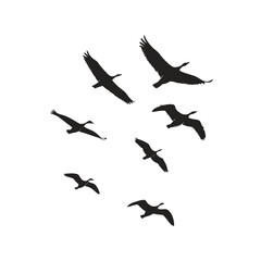 Flying birds silhouette black vector illustration, multiple birds in flight, perfect for nature, wildlife