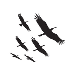Flying birds silhouette black vector illustration, multiple birds in flight, perfect for nature, wildlife