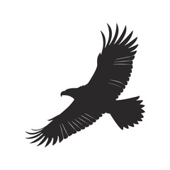 Eagle flying silhouette black vector illustration, majestic bird in flight, wildlife, nature