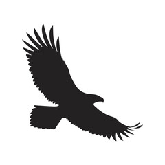Eagle flying silhouette black vector illustration, majestic bird in flight, wildlife, nature