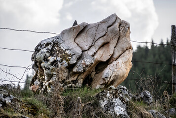 Rocky landscape in Fundatura Ponorului, also known as The palm of God, Transylvania, Romania. 