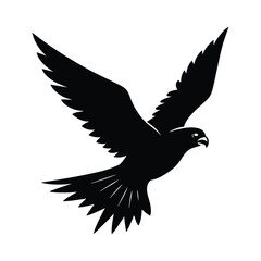 Obraz premium Falcon Diving Sharp Wings Vector Silhouette