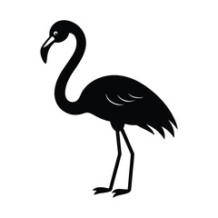 Obraz premium Flamingo Wading Beak Down Vector Silhouette