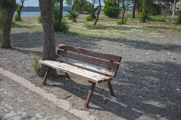 Old wooden bench in the park