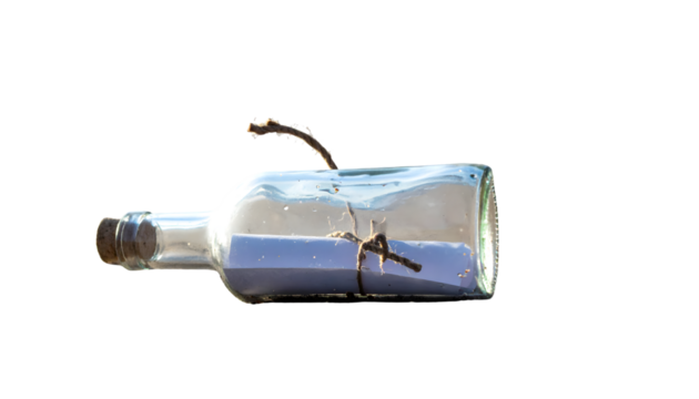 Clear Glass Bottle with Rolled Paper and Twigs