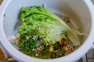 Close-up of a white food waste bin filled with fresh food scraps including lettuce.