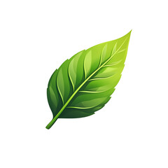 Fototapeta premium Light Leaf logo isolated on a white transparent background