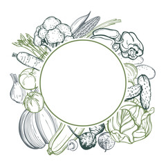 Hand-drawn vegetables on white background.    Vector frame. Sketch  illustration.  