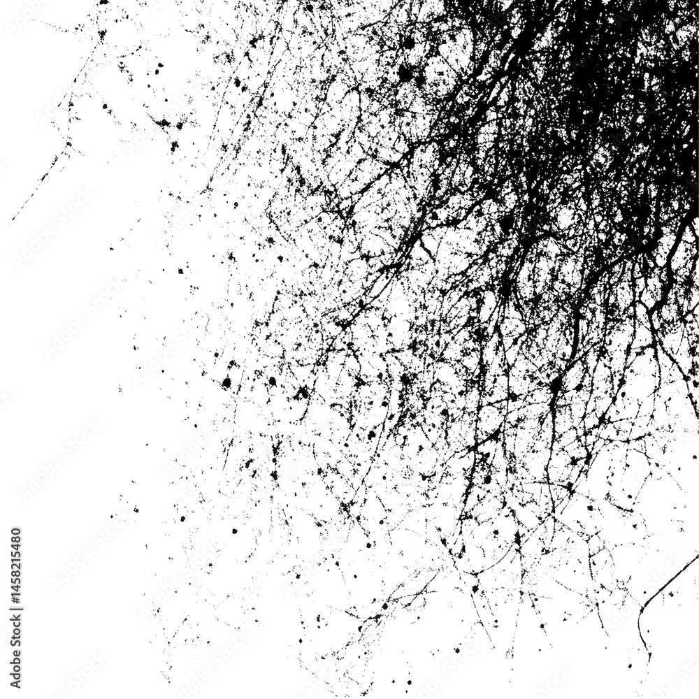 Poster web grunge noise texture with intricate patterns on a transparent background showcasing abstract des