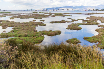 Izmir Wildlife Park, called inceralti Kent ormanli, is a large and beautiful park area with flamingos