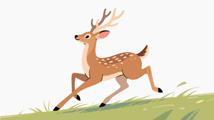 Animal pattern, animal vector pattern