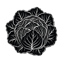 Obraz premium a bunch cabbage vector art silhouette