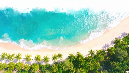Obraz premium Aerial View of Tropical Beach Paradise Turquoise Ocean Waves Crashing on White Sandy Shore with Lush Palm Trees