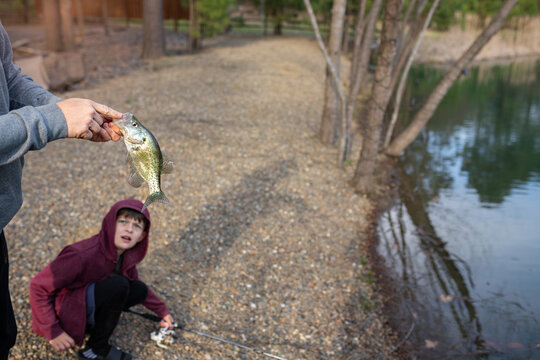 Child admires freshly caught fish held by an adult by a forest pond