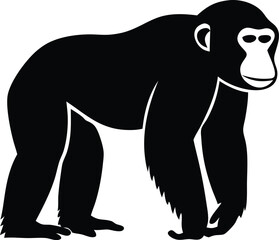 A black Silhouette chimpanzee animal