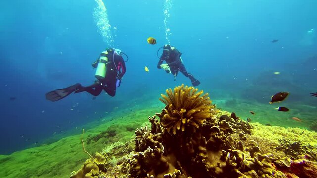 Two scuba divers swim above vibrant coral and tropical fish in clear waters. Senggigi, Indonesia