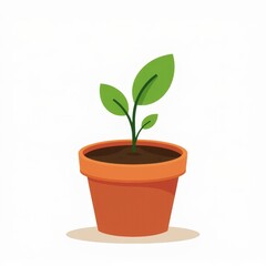 Obraz premium The vitality of potted green plants