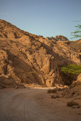 mountain landscape in the desert