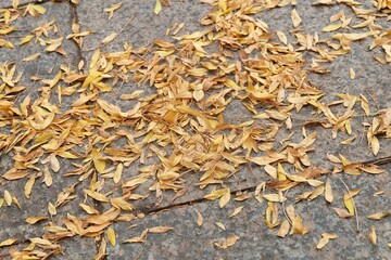 Stunning landscape featuring breathtaking views of serene nature. Capture the beauty of majestic mountains, lush forests, tranquil lakes, and peaceful beaches. Perfect for any project looking to evoke