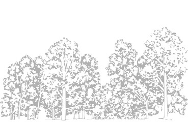 A detailed architectural drawing of a dense forest elevation, featuring a variety of deciduous and coniferous trees with intricate line work and fine textures.