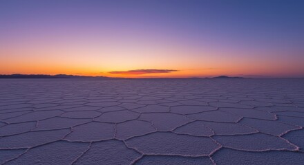 Sunset over salt flats horizon with patterned ground
