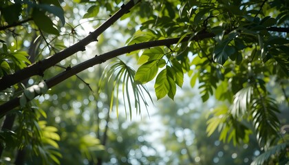 Tropical Tree Leaves and Branch Foreground for Lush Nature, Tropical Decor, and Eco-Friendly Design Projects