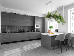 Gray modern kitchen with hanging plants