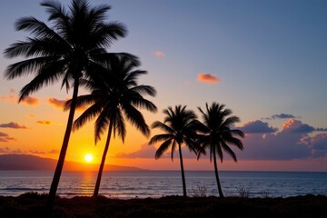 silhouette of palm trees at tropical sunrise or sunset
