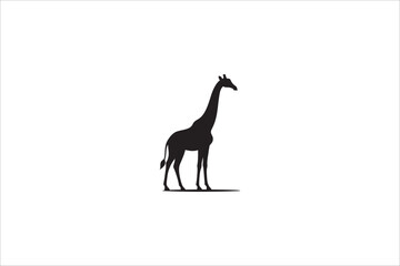 Silhouette of a giraffe standing on the ground with shadow, isolated on white background. Simple black vector illustration for wildlife, safari, and animal design concepts.