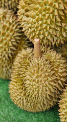 King of fruit Durian, Monthong famous fruit in the tropical area.