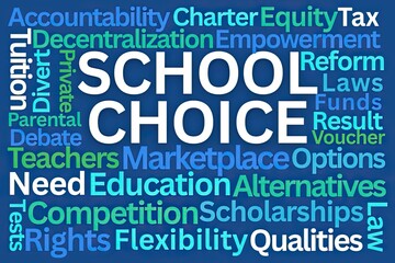 School Choice Word Cloud on Blue Background