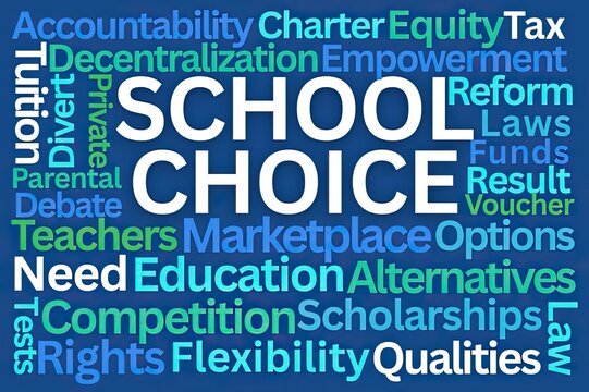 School Choice Word Cloud on Blue Background