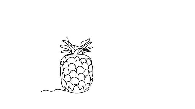 Abstract pineapple fruit, ananas,  Self drawing animation one continuous line draw, logo