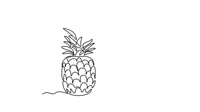 Abstract pineapple fruit and slice, ananas, Self drawing animation one continuous line draw, logo