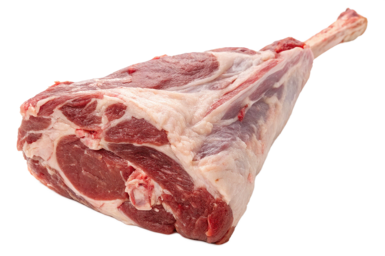 fresh meat for roasting or grilling: a raw leg of lamb or mutton on bone, ready for food preparation
