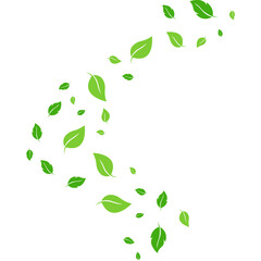 Flying Leaves Illustration