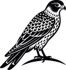 Minimalistic vector silhouette of a perched kestrel with wings tucked on white background great for falconry or birdwatching design