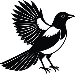 Obraz premium Minimalistic vector silhouette of a perched magpie with open wings on white background ideal for clever bird or folklore themed designs
