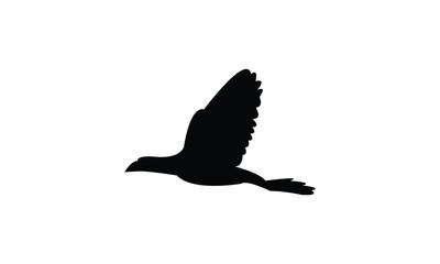 African swamphen bird Silhouette Design  And Vector Illustration. 
