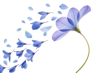 Delicate violet flower with soft blue petals gracefully releases its petals into air creating serene and enchanting scene